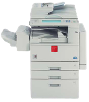 DSM 725